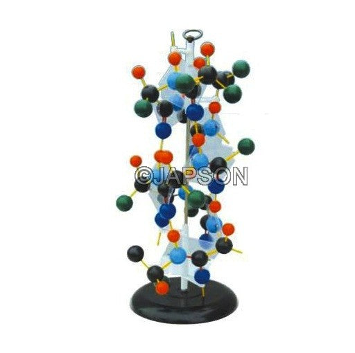 Protein Structure Model Protein Structure Model